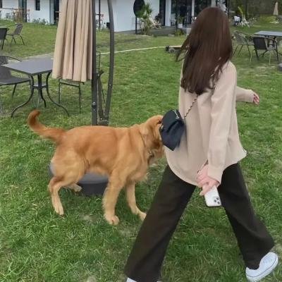 天生一对粤语